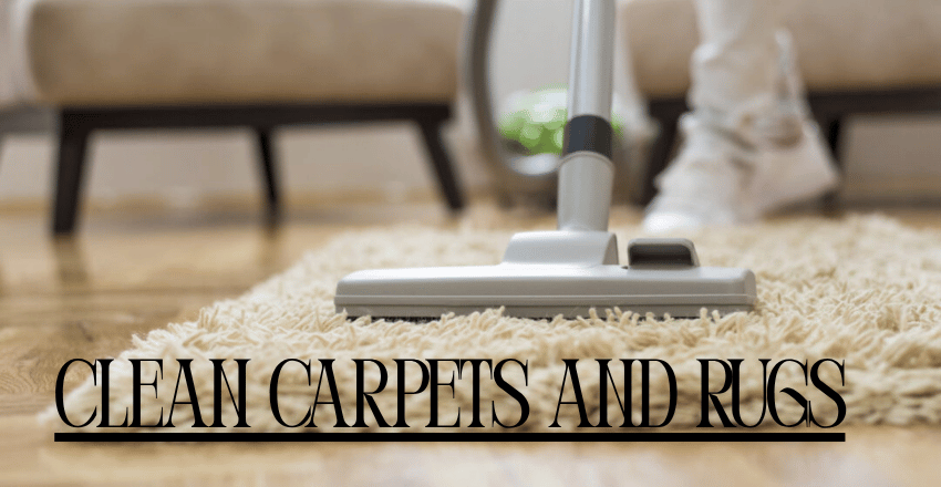 Step 6: Clean Carpets and Rugs