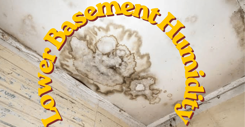 Step 3: Lower Basement Humidity