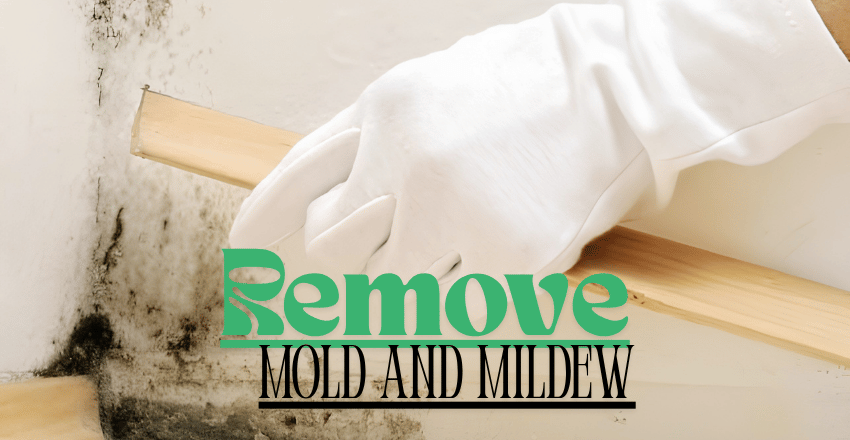 Step 2: Remove Mold and Mildew