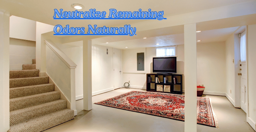 Step 8: Neutralize Remaining Odors Naturally
