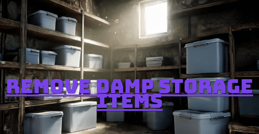 Step 5: Remove Damp Storage Items