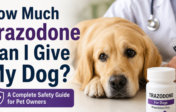 How Much Trazodone Can I Give My Dog? A Complete Pet Owner’s Guide to Safe Dosage, Uses, Side Effects, and Veterinary Recommendations