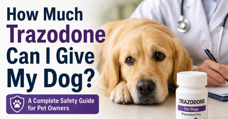 How Much Trazodone Can I Give My Dog? A Complete Pet Owner’s Guide to Safe Dosage, Uses, Side Effects, and Veterinary Recommendations